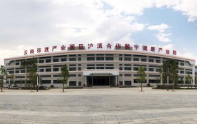 5月29日上午大理州和上海奉贤区领导参观弥渡沪滇产业园产品展示区